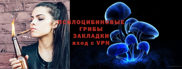 прущий лед Мегион
