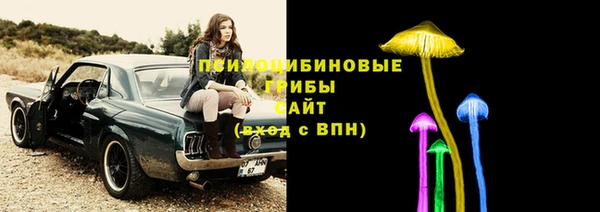 прущая мука Медвежьегорск