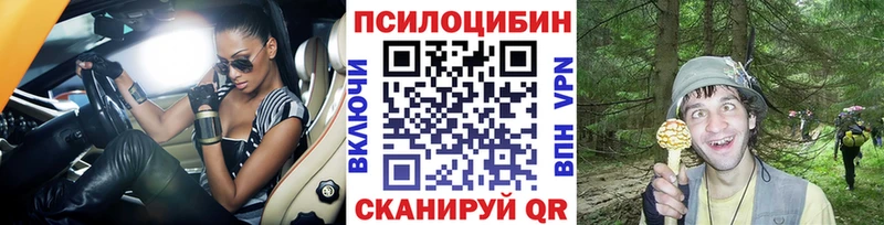 Псилоцибиновые грибы мицелий купить наркоту Ростов-на-Дону